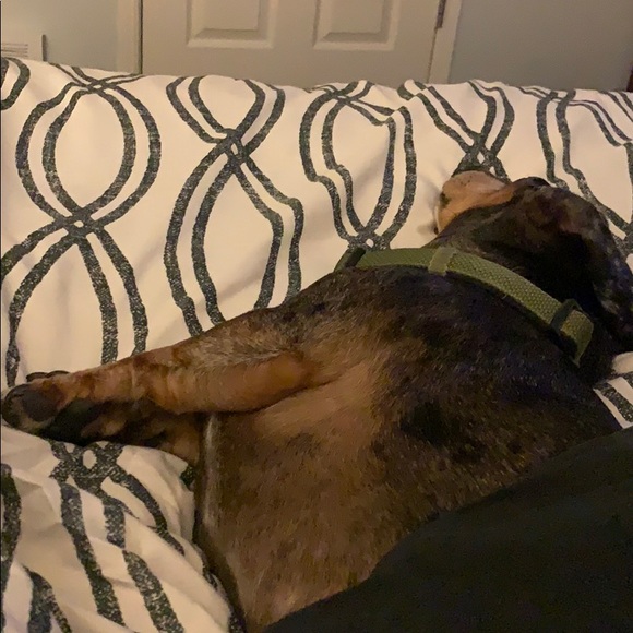 Meet your Posher, Lindsey - Picture 1 of 1